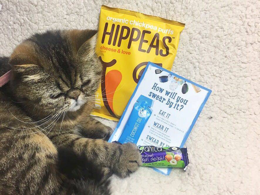 TheVeganKind Vegan Subscription Box Persian Cat