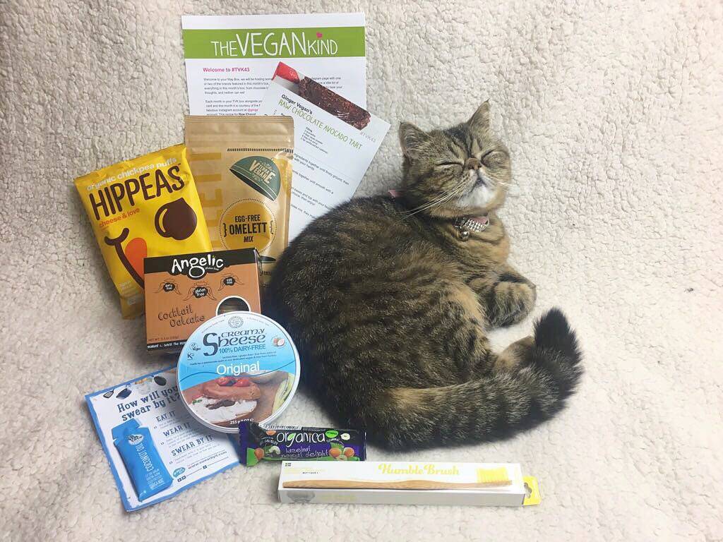 TheVeganKind Vegan Subscription Box Persian Cat