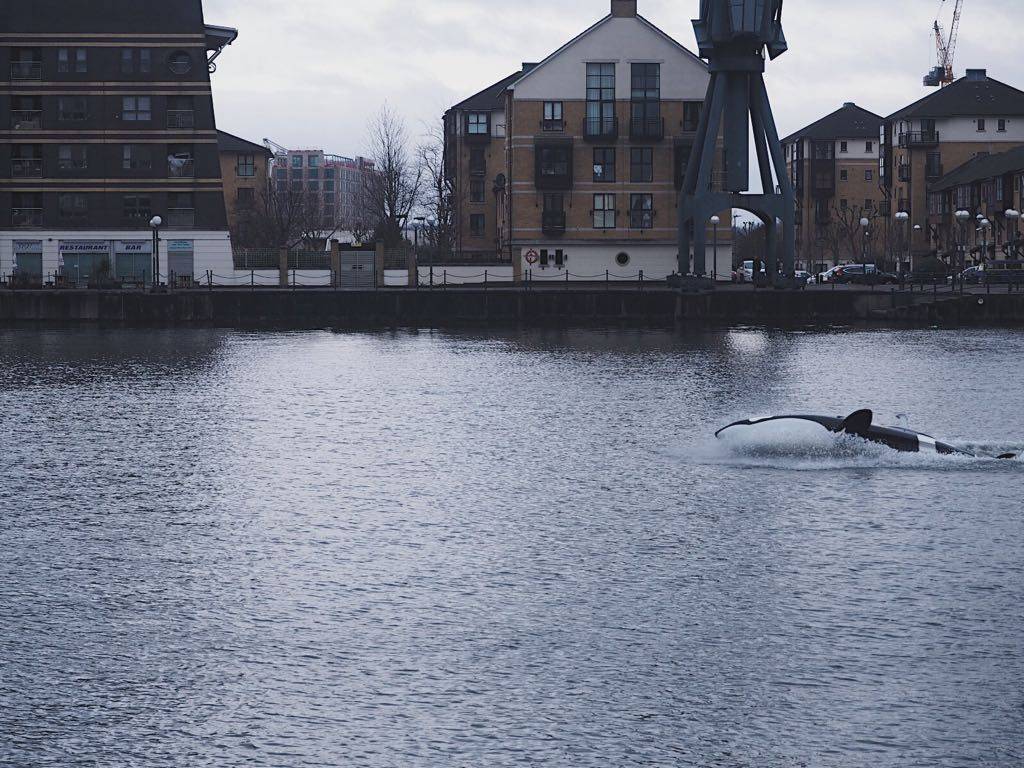 Predator Adventures Royal Victoria Docks Seabreacher Watercrafts