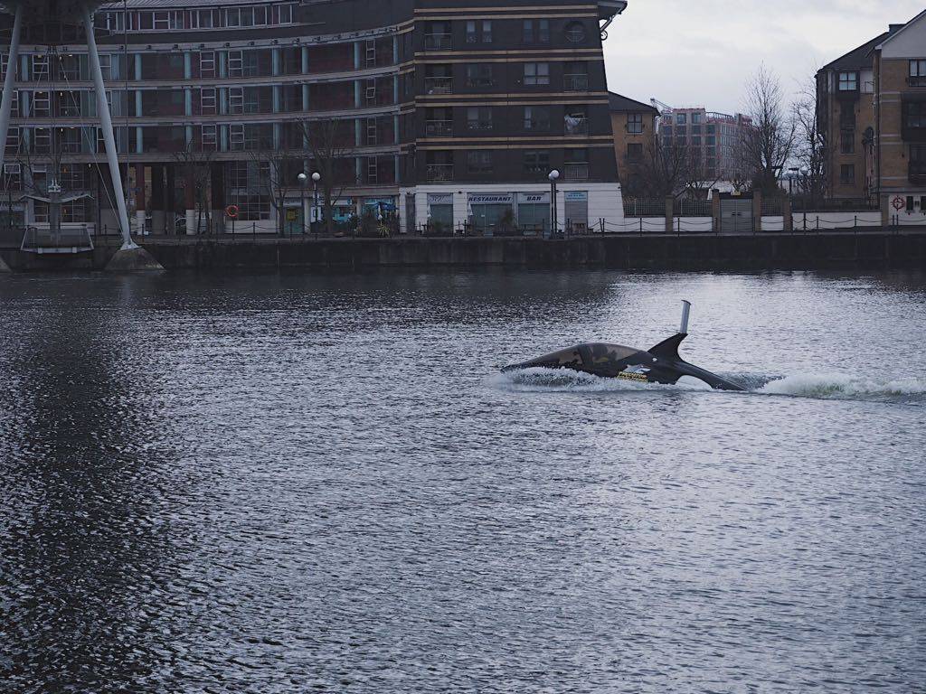 Predator Adventures Royal Victoria Docks Seabreacher Watercrafts